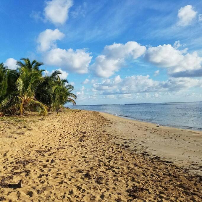 1St Floor, A/C Everywhere, Balcony With Beach View In Luquillo Extérieur photo